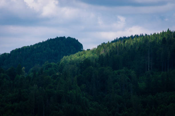 Lake in Żywiec. A landscape Milowka. Mountains landscape in the Silesian Beskids. CoolLake in Żywiec. A landscape of mountains at the lake równina stock pictures, royalty-free photos & images