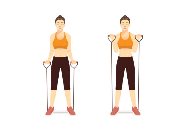 Woman Using Equipment For Exercise With Resistance Band Bicep Curl In 2  Step Workout With Lightweight Equipment Stock Illustration - Download Image  Now - iStock