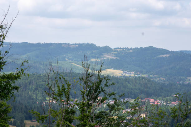 Lake in Żywiec. A landscape Milowka. Mountains landscape in the Silesian Beskids. CoolLake in Żywiec. A landscape of mountains at the lake równina stock pictures, royalty-free photos & images