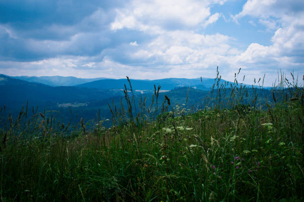 Lake in Żywiec. A landscape Milowka. Mountains landscape in the Silesian Beskids. CoolLake in Żywiec. A landscape of mountains at the lake równina stock pictures, royalty-free photos & images