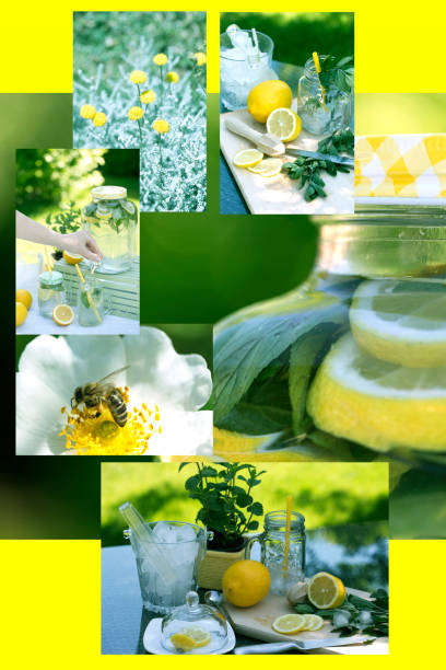 istock collage with fresh lemonade. lemonade drink. summer collage 1204463565