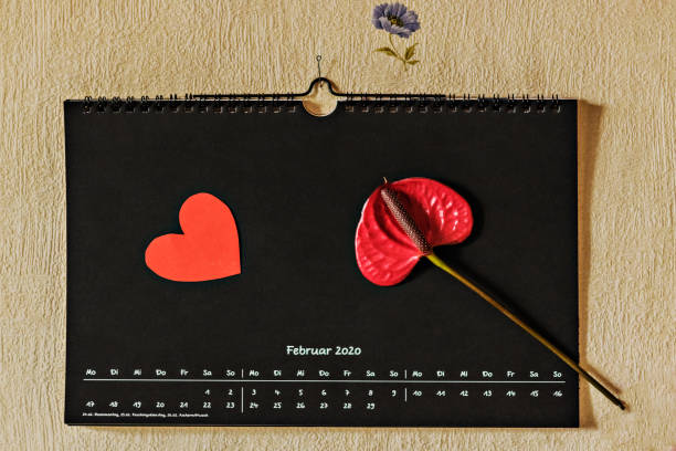 kalenderblatt mit dem wort "februar" auf deutsch an einer wand mit papierherzen und blume und einem markierten datum - 14. februar. valentinstag. - calendar wall valentines day cute stock-fotos und bilder