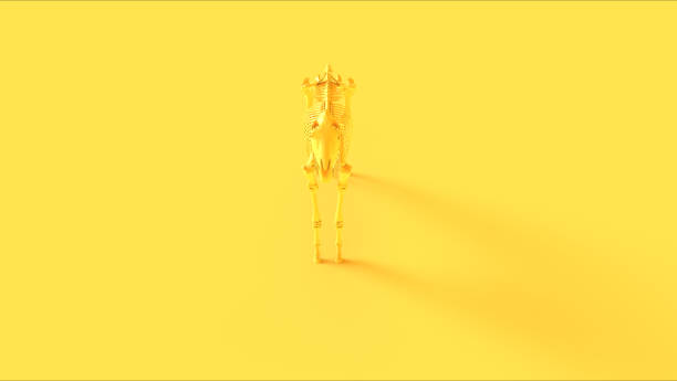 istock Yellow Horse Skeletal System Anatomical 1204468201