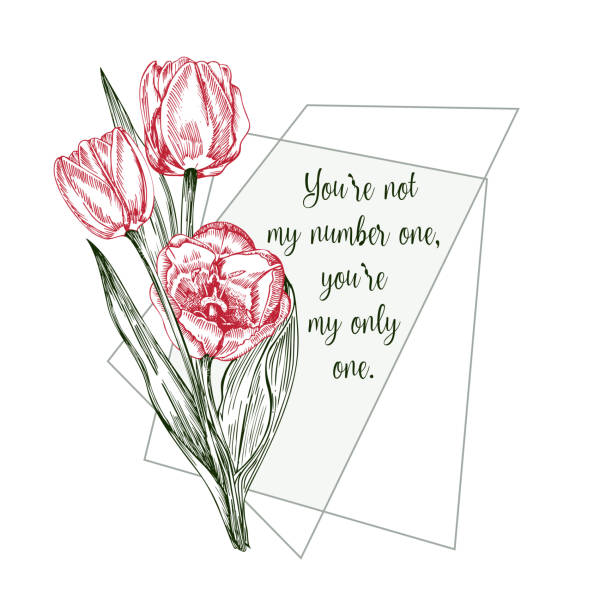 Greeting card with Spring flower bouquet of tulips in red and green colors on gray background. Line engraving drawing Vintage style. Realistic botanical nature floral sketch pattern Greeting card with Spring flower bouquet of tulips in red and green colors on white background Vintage style Realistic botanical sketch pattern. Women, mother days design, 8 march Short Love Quotes couple tattoo quotes stock illustrations