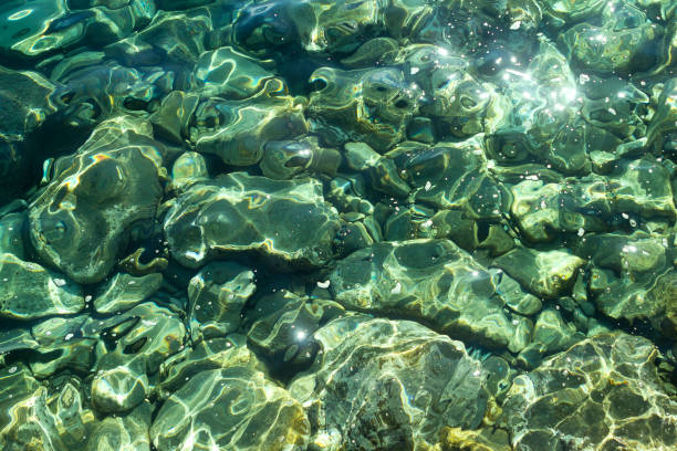 istock Stones under transparent sea water 1204469684