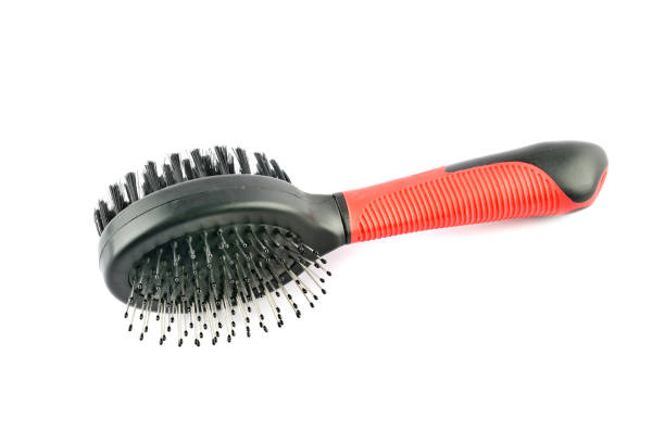 Dog grooming brush isolated on white background. Dog grooming brush isolated on white background. The concept is pet care. Two-sided Dog Comb Hair Removal Brush stock pictures, royalty-free photos & images