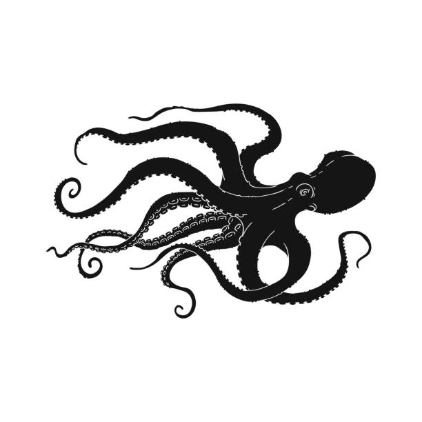 ilustraciones, imágenes clip art, dibujos animados e iconos de stock de pulpo negro nadando a un lado - silueta dibujada a mano - octopus tentacle isolated white