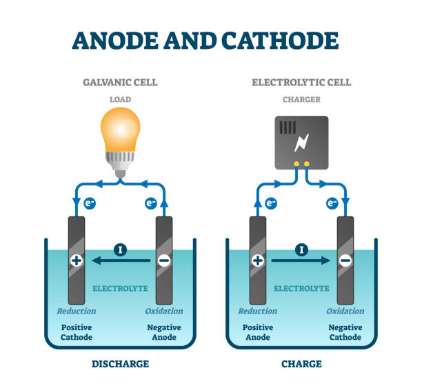Anode Function 120+ Electron Battery Physics Electricity Stock Photos, Pictures ...