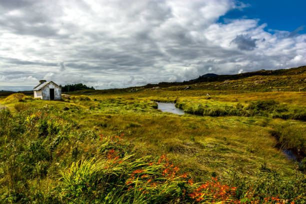 Remote Hut Beneath River in Ireland