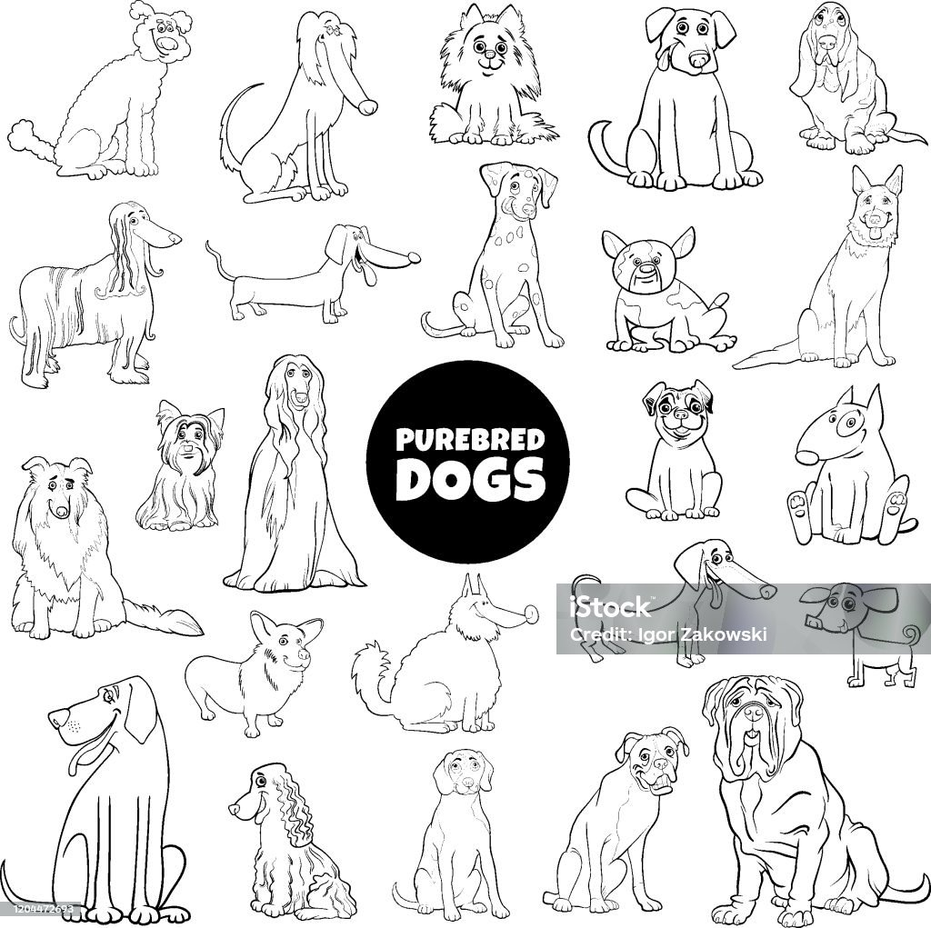 Ilustración de Dibujos Animados Pura Raza Perros Grande Conjunto Página De  Libro De Color y más Vectores Libres de Derechos de Perro - iStock