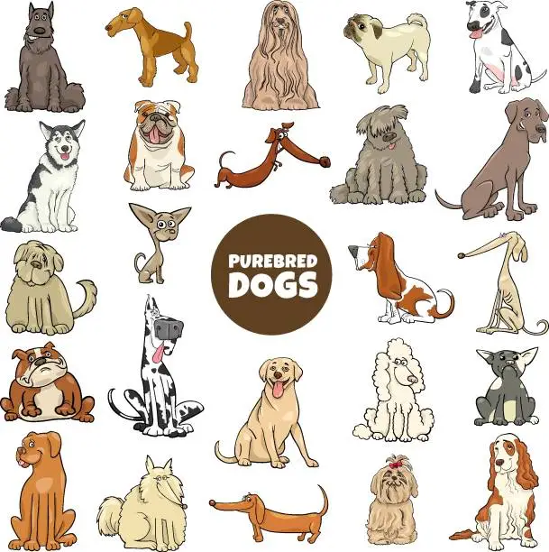 Vector illustration of cartoon purebred dogs characters large set