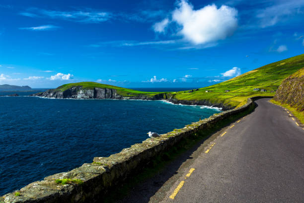 istock Single Track Coast Road at Slea Head in Ireland 1204472983