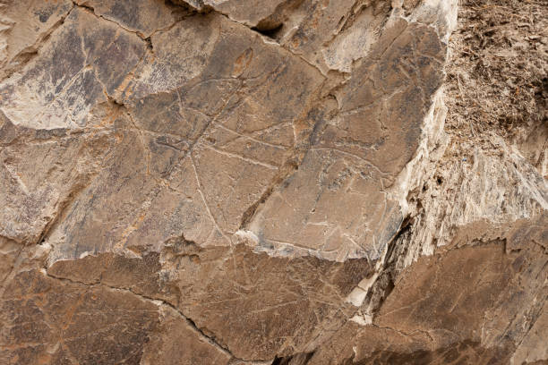 istock Rock-art - Coa Valley - Portugal 1204473922