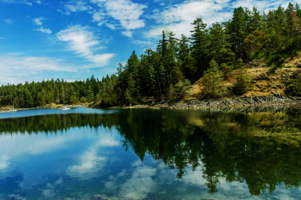 istock Great summer day at Smuggler's Cove, Sunshine Coast, BC, Canada 1204474586