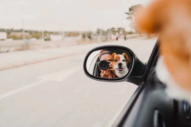 Photo of young woman taking a picture with camera on rear mirror of her cute small jack russell dog watching by the window. Ready to travel. Traveling with pets concept