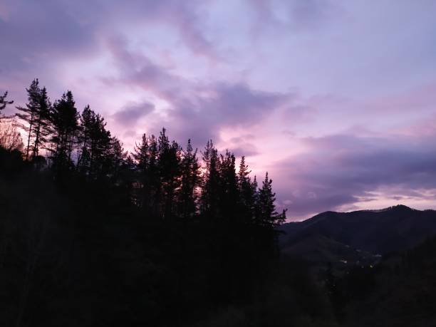 istock nice purple sunrise on the mountain 1204479462