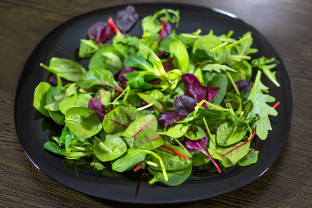 A fresh salad from arugula, romaine and spinach.