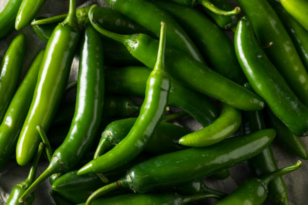 istock Raw Green Organic Serrano Peppers 1204481454