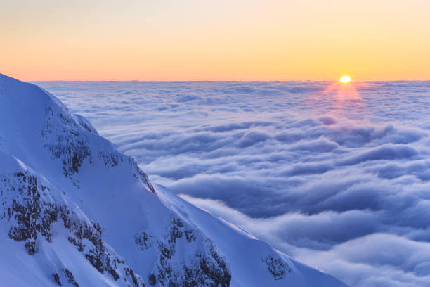 istock Piatra Craiului Mountains, Romania 1204482462