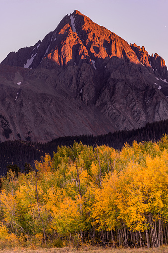 Colorado Fall Color at Sunset on Mt Sneffels