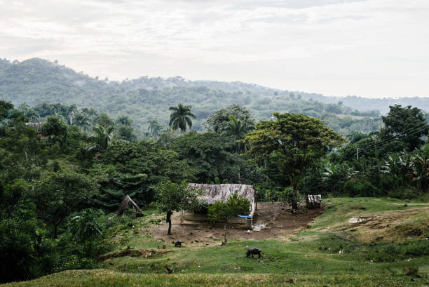 santiago de cuba & sierra maestra - castro street zdjęcia i obrazy z banku zdjęć