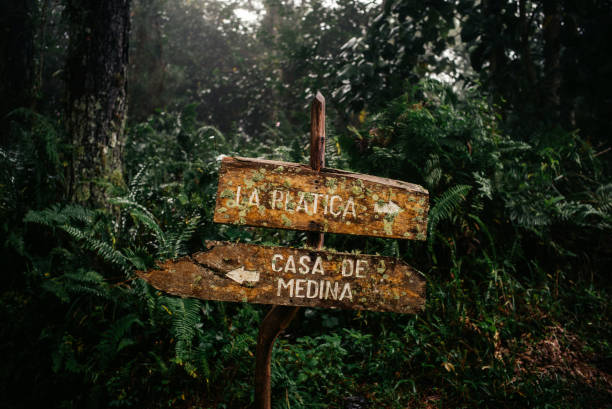 istock Santiago de Cuba & Sierra Maestra 1204483818