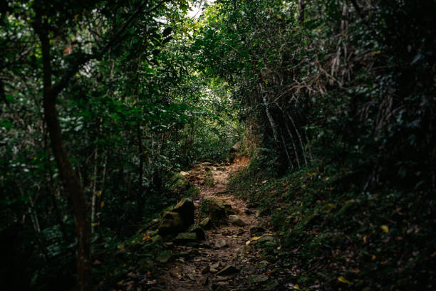 istock Santiago de Cuba & Sierra Maestra 1204483830
