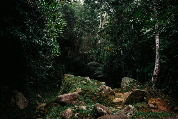 istock Santiago de Cuba & Sierra Maestra 1204483836