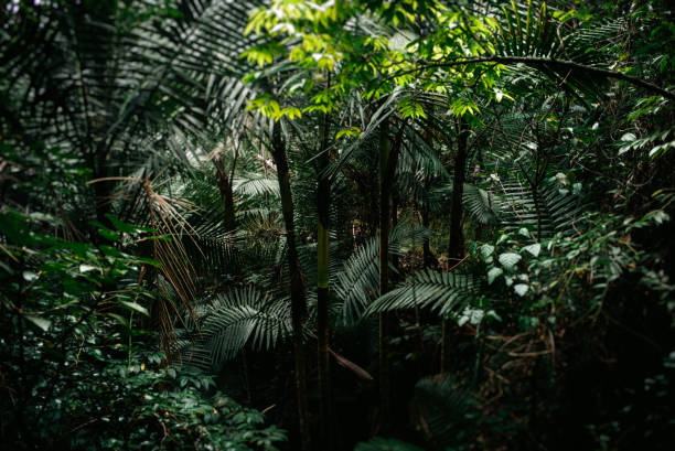 istock Santiago de Cuba & Sierra Maestra 1204483837