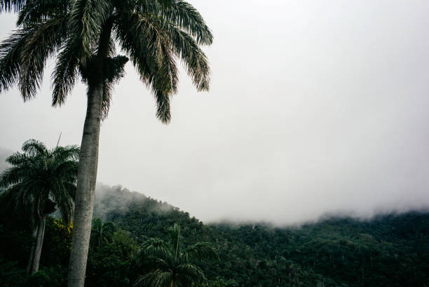 istock Santiago de Cuba & Sierra Maestra 1204483846