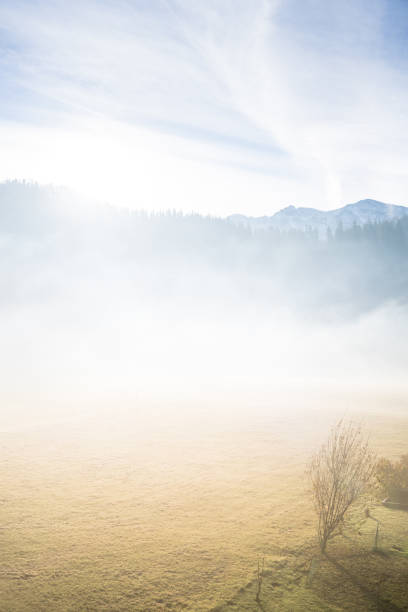 istock Alpine mountains in a fog 1204487208