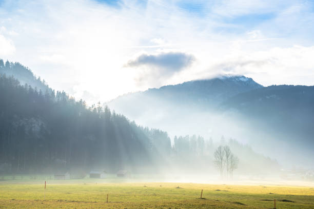istock Sunrise in Alpine meadow 1204488229
