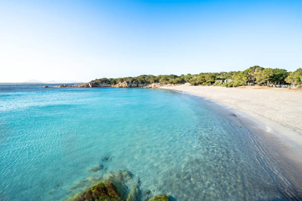 istock Spiaggia Capriccioli, Sardinia, Italy 1204488295