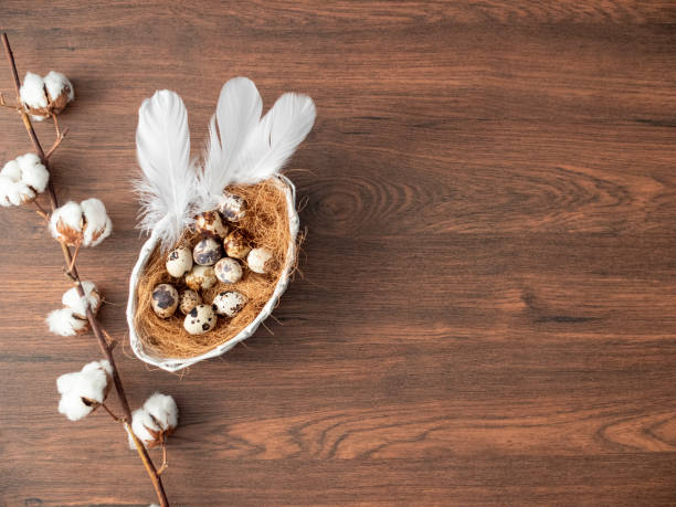 istock Colorful Easter eggs in nest and feathers on wooden table. Easter holiday decorations , Easter concept background. 1204489049