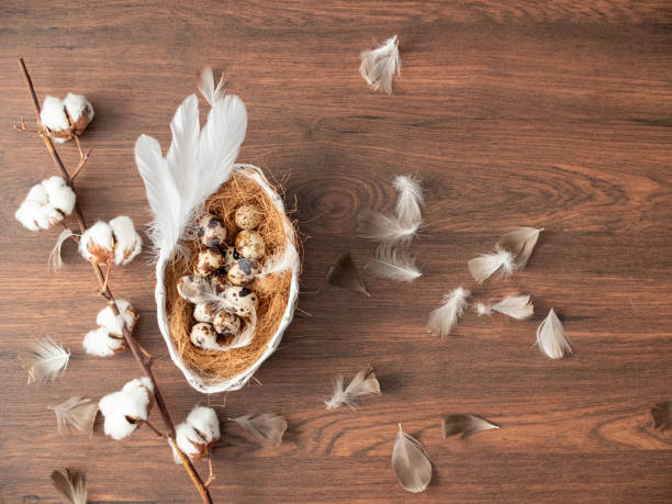 istock Colorful Easter eggs in nest and feathers on wooden table. Easter holiday decorations , Easter concept background. 1204489485