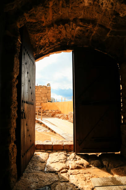 istock Old wooden door opened 1204490904
