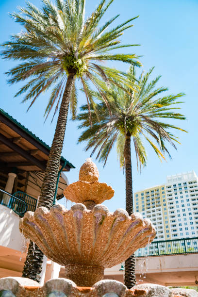 fontanna i palmy w las olas riverwalk w centrum fort lauderdale na florydzie - las olas quarter zdjęcia i obrazy z banku zdjęć