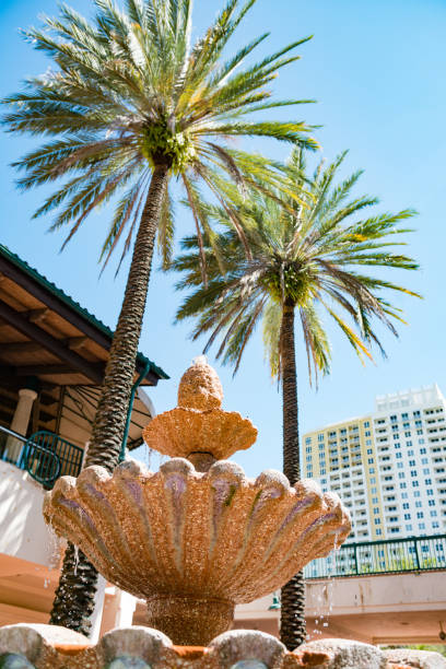 фонтан и пальмы в лас-олас riverwalk в центре города форт-лодердейл флорида - las olas quarter стоковые фото и изображения