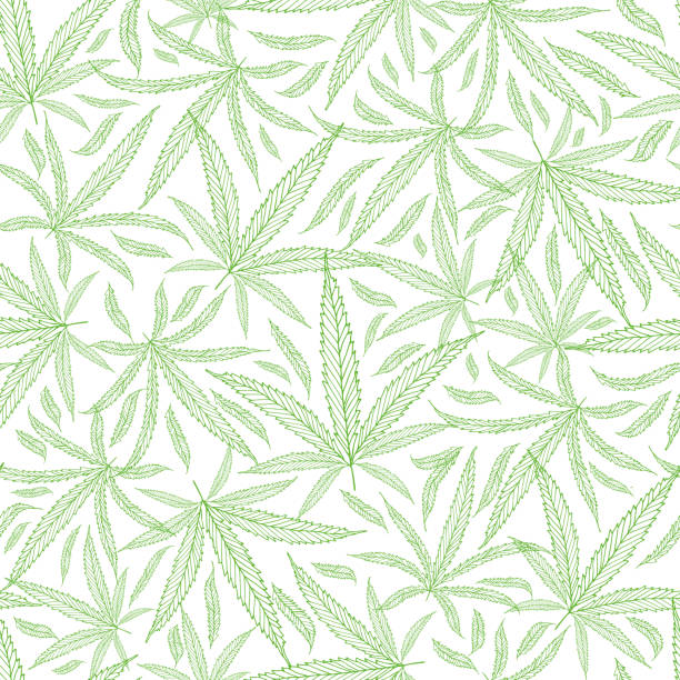 ilustrações de stock, clip art, desenhos animados e ícones de green outline cannabis leaves textural background. seamless vector pattern against white backdrop. hand drawn line art repeat design. perfect for wellness, health, medical products, packaging, print - canábis narcótico