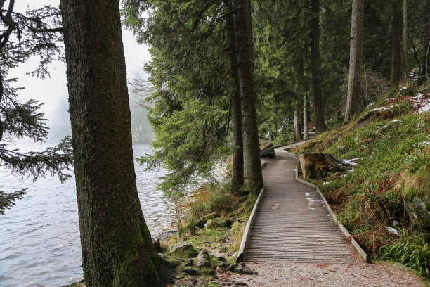 A walk around the Mummelsee in the Black Forest (Germany)