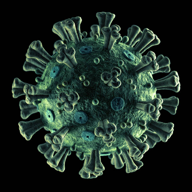 istock Accurate Coronavirus 2019-nCoV on Black 1204497173
