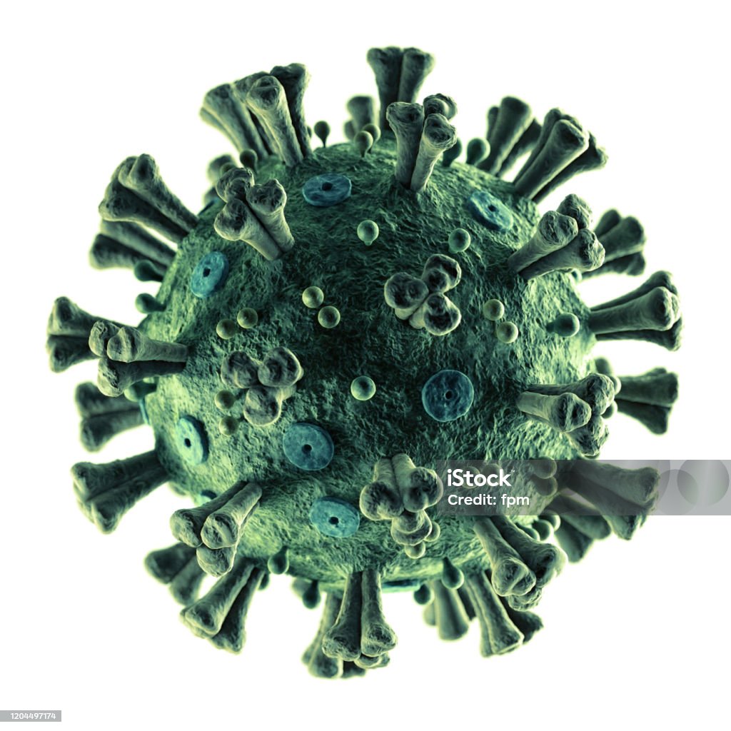 Accurate Coronavirus 2019-nCoV on White Accurate Illustration of the novel COVID-19 "2019-nCoV" on white background. All details of the virus are in place, including E- and M-Proteins, virus Envelope, Hemagglutinin-esterase and Spike Glycoproteins. Virus Stock Photo
