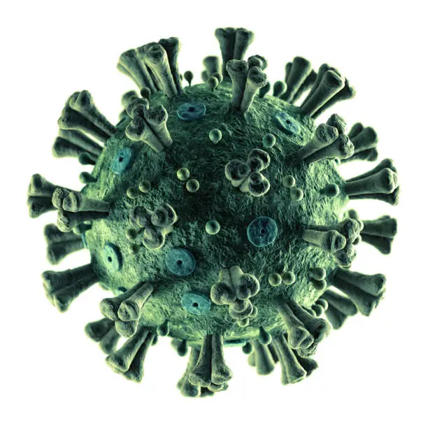 Accurate Illustration of the novel COVID-19 "2019-nCoV" on white background. All details of the virus are in place, including E- and M-Proteins, virus Envelope, Hemagglutinin-esterase and Spike Glycoproteins.
