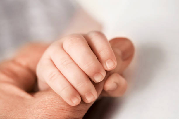 istock Child holds adult finger 1204500191