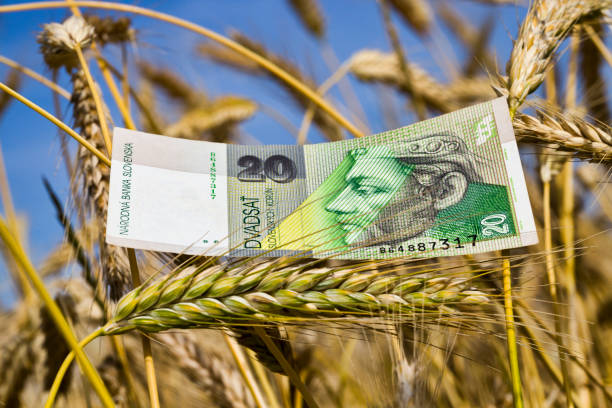 istock Slovakia money 1204500256