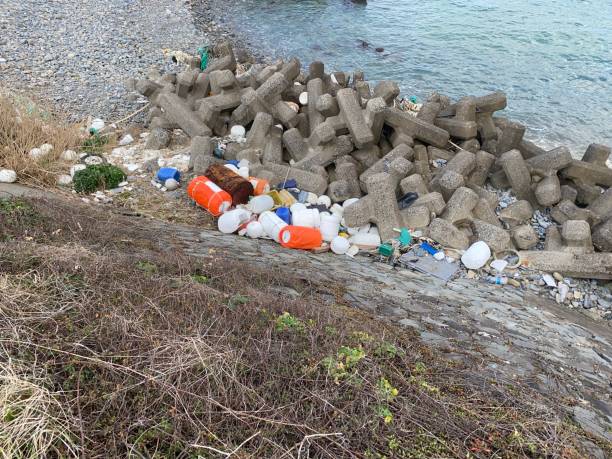 istock drifts, garbage drifted ashore of Japan. 1204503237