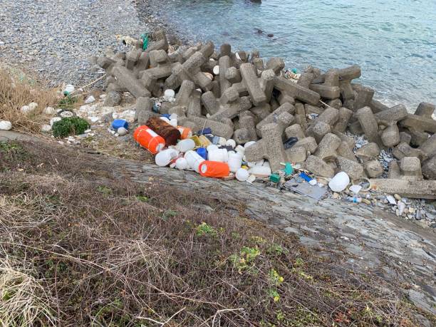 drifts, garbage drifted ashore of japan. - drifted imagens e fotografias de stock