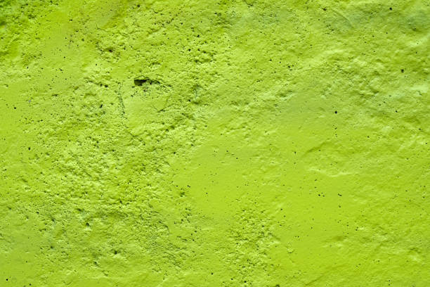 istock texture of a painted wall. cement plate light green color background. 1204505709