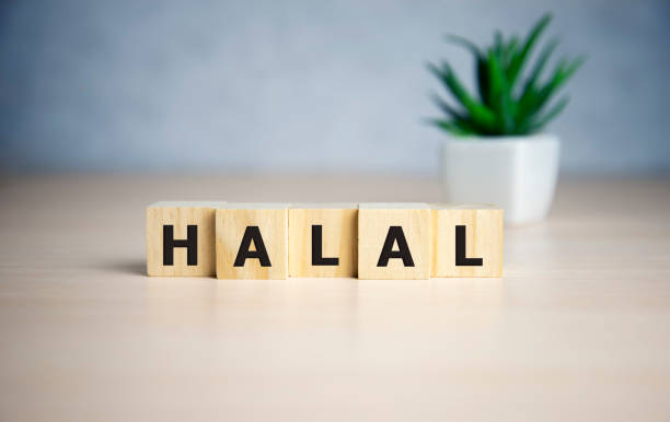 Letter block in word halal on wooden blocks