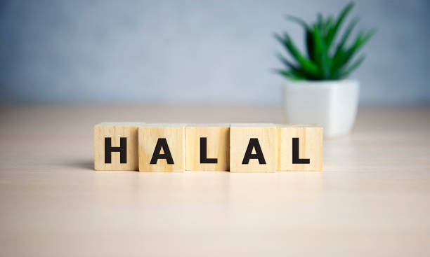 istock Letter block in word halal on wooden blocks 1204505961